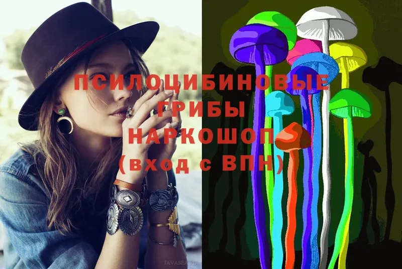 Псилоцибиновые грибы Psilocybe  Оленегорск 